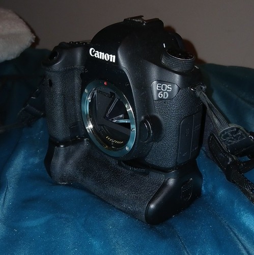 Canon eos 2mp digital - canon,
